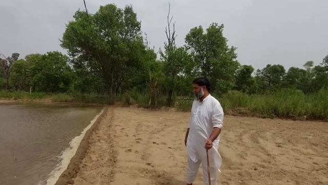 Jangli Janwaro K Kaam | Wild Animals done this | Azmat смотреть онлайн