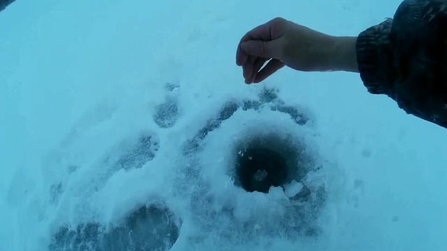 Зимняя рыбалка 2021/2022. Ловля плотвы на безмотылку на реке. смотреть онлайн