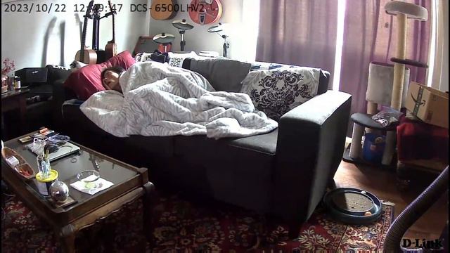 🎥Restless Sleep 😴 (Sleep With My Crazy & Funny Cat Salem!) Oct 22, 2023 (PLMD) смотреть онлайн