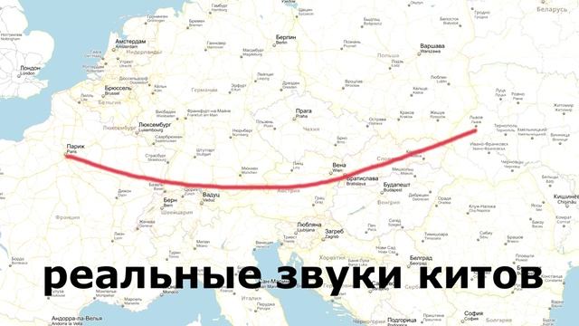 ТОП долгожителей на Земле смотреть онлайн