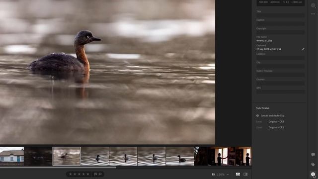 Free Adobe Lightroom Tutorial | Lightroom Essentials Training Course