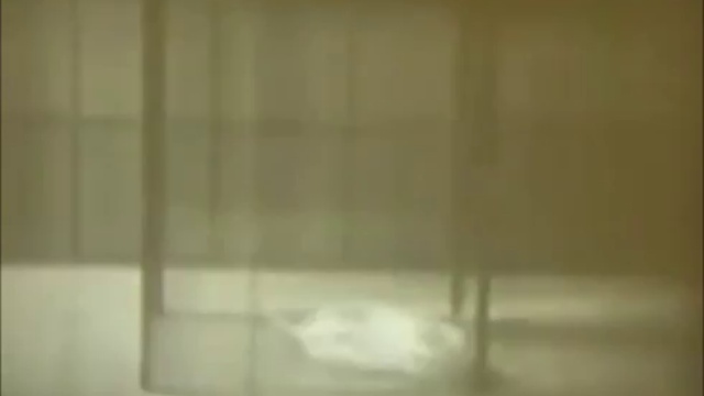 Алкоголизм в опытах смотреть онлайн
