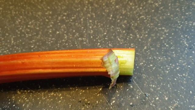 Ревень. Просто, вкусно, очень полезно ! смотреть онлайн