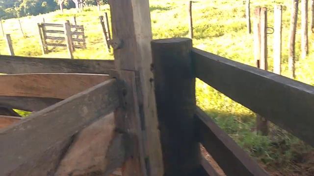 Chácara de 8,5 HECTARES Valor 600Mil Próx São Miguel do Passa 4 .80 km Goiânia 62 98141-4270 смотреть онлайн