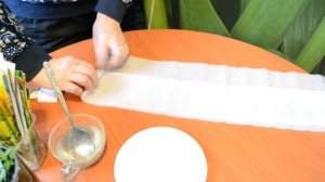 Посадка рассады помидор на туалетную бумагу