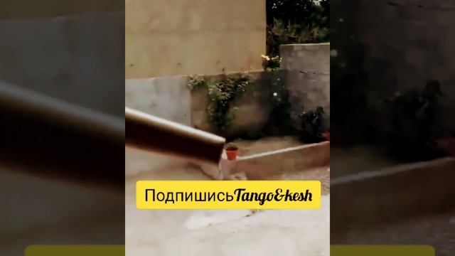 как легко и быстро помыть окна без пятен и разводов смотреть онлайн