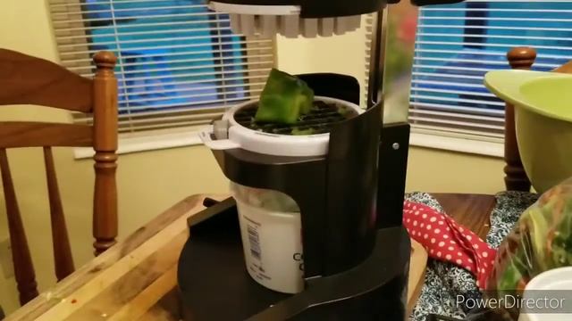 GIANT SWEET RED MARCONI PEPPERS HARVEST AND FREEZE! смотреть онлайн