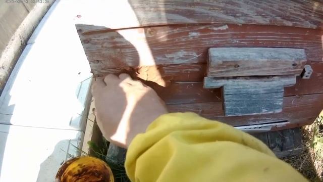 Дымковская игрушка у нас в почете!/Repair of a beehive using clay смотреть онлайн