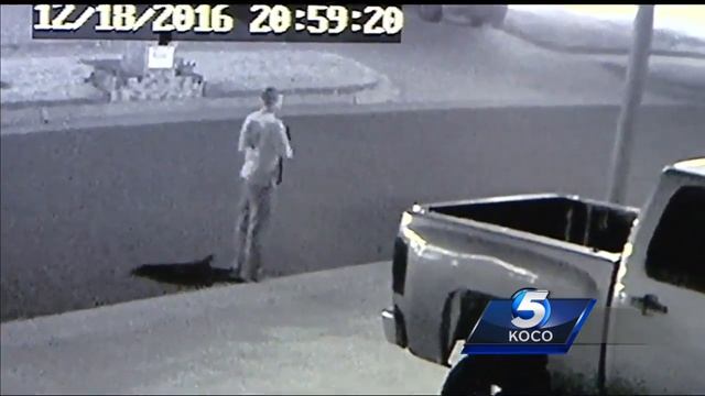 Man armed with rifle scares away suspected auto burglars смотреть онлайн