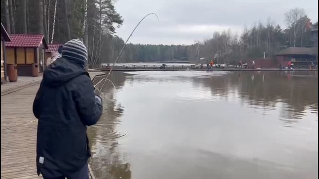 Поехали на золотой сазан и поймали ТРОФЕИ!!! ОГРОМНЫЕ БЕЛУГИ И ОСЕТРЫ!!! смотреть онлайн