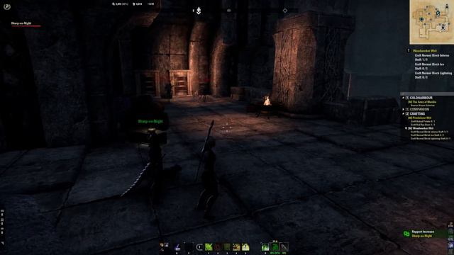 [42] The Elder Scrolls Online (Arcanist)