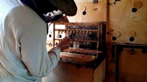 Вывод пчеломаток. Изоляция маточников.