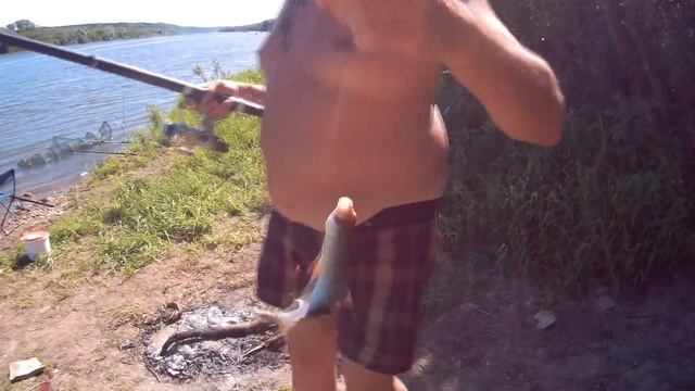 РЫБАЛКА НА ОКЕ под ТАРУСОЙ#3.На ОКЕ после запрета.Окунь и плотва на реке.2020г смотреть онлайн