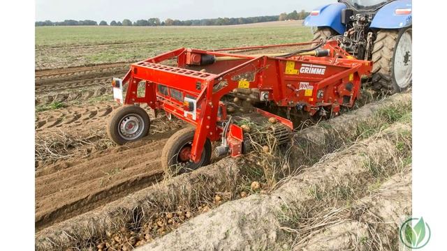 Сорт картофеля «Веснянка». Описание сорта. смотреть онлайн