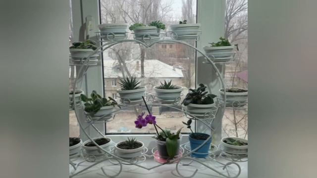 Новая подставка для цветов смотреть онлайн