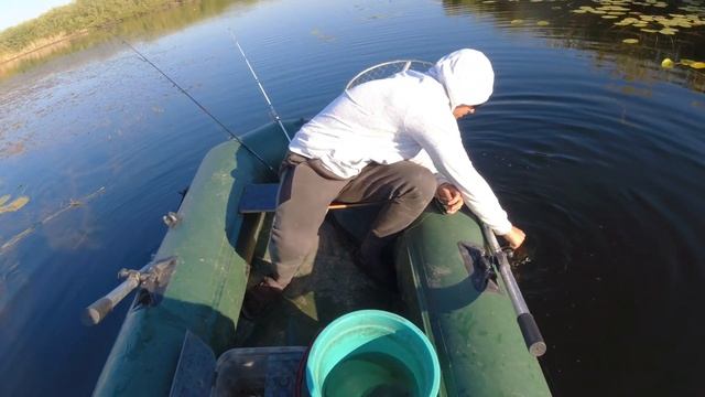 Осенний ЖОР Щуки. Рыбалка в Щучьем Раю. Часть Вторая смотреть онлайн