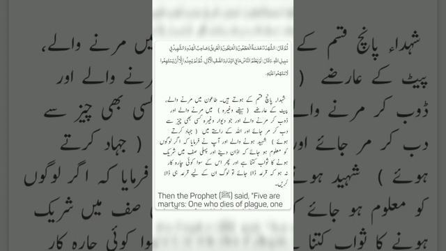 Listen Sahih Bukhari Hadees 653 in Urdu with Arabic & English Translation. смотреть онлайн