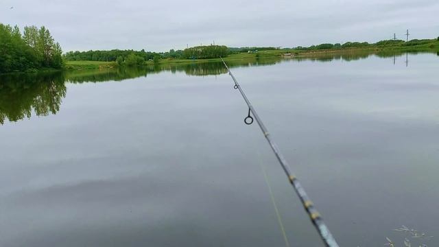 Как поймать свою первую рыбу на спиннинг? Взял новичка на рыбалку! смотреть онлайн