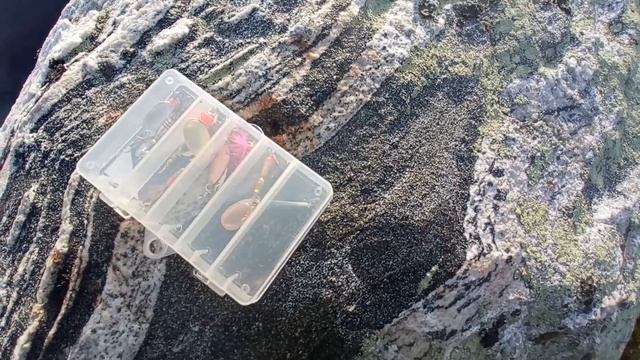 Катушка Kaida Pro и блёсны с ОЗОН | Простой обзор смотреть онлайн