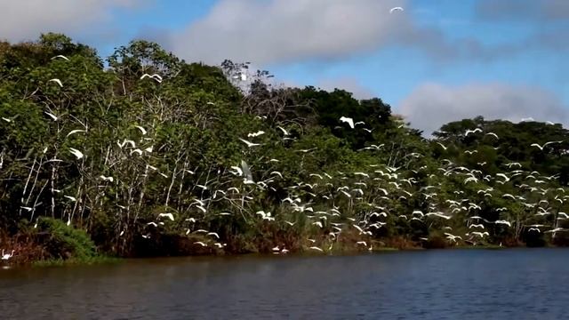 Iquitos Peru: 9 Best Things to Do in IQUITOS | Amazon Rainforest Tourism & Travel Guide смотреть онлайн