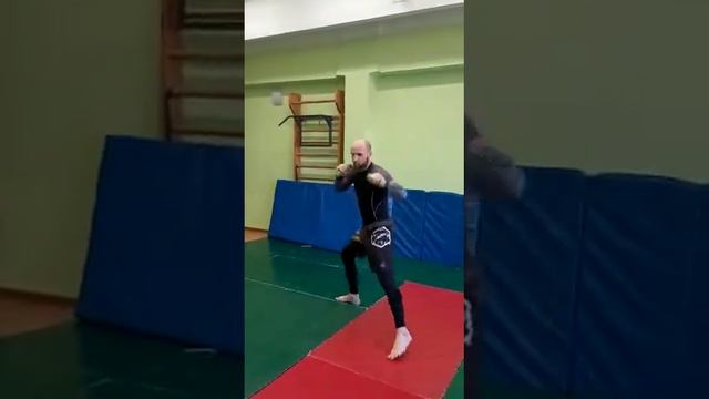 Бой с тенью 2
