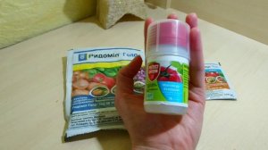 Ложная мучнистая роса. Лечение роз! Препараты от ЛМР. Часть 1