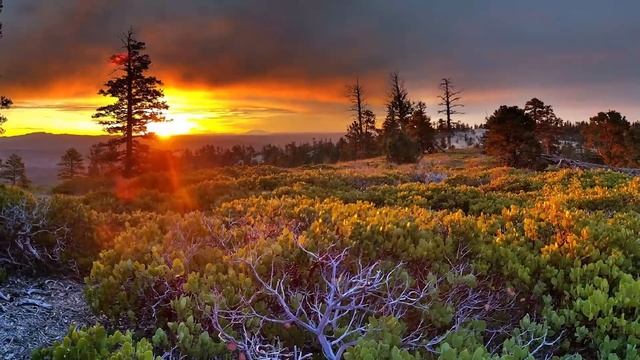 Flute Yoga Music, Evening Meditation, Positive Energy Music, Stress Relief
