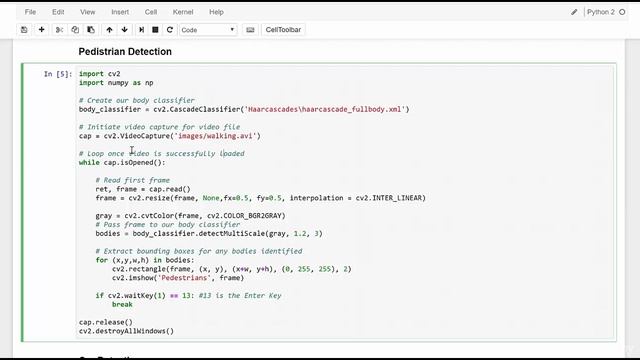 049 Mini Project 6 Car and Pedestrian Detection смотреть онлайн