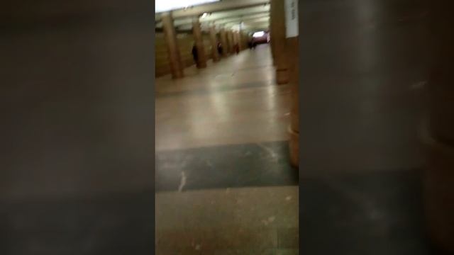 Обзор Станции Метро Ясенево КРЛ смотреть онлайн