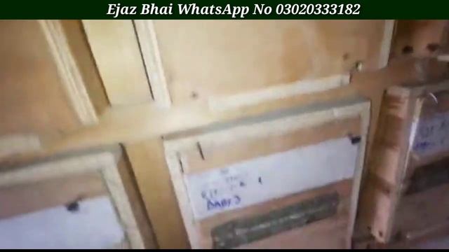 Java Finch Breeding Progress Result Of Ejaz Bhai Setup in Faisalabad | White Java | Fawn Java Breed смотреть онлайн