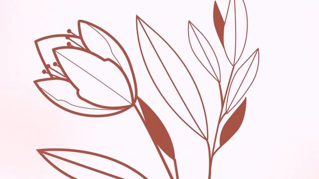 Learn French In Mexico I  200 French Phrases