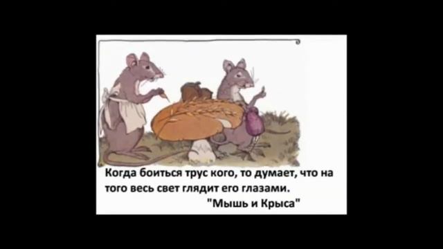 Бешетова Дарья смотреть онлайн