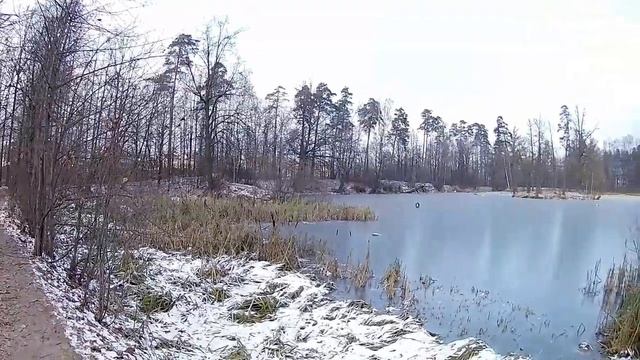 Влог 52. Баварский лес. 17 мнгновений весны. Головинские пруды. Реагенты. Шашлычница смотреть онлайн