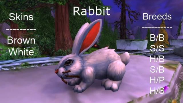 Pet Collecting Around Azeroth & Beyond -- Part 4: Mt. Hyjal смотреть онлайн