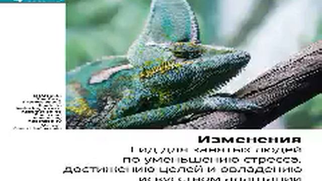 МАЙКЛ ДИТТРИХ ЧЕСТЕЙН ИЗМЕНЕНИЯ ГИД ДЛЯ ЗАНЯТЫХ смотреть онлайн