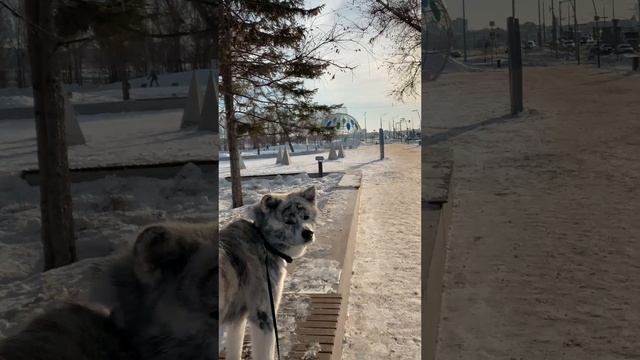 Посмотреть вокруг и себя показать) смотреть онлайн