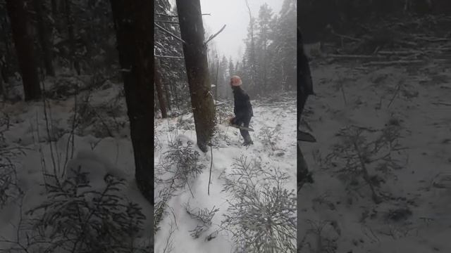 как нельзя валить лес(если очень хочеться то можно) смотреть онлайн