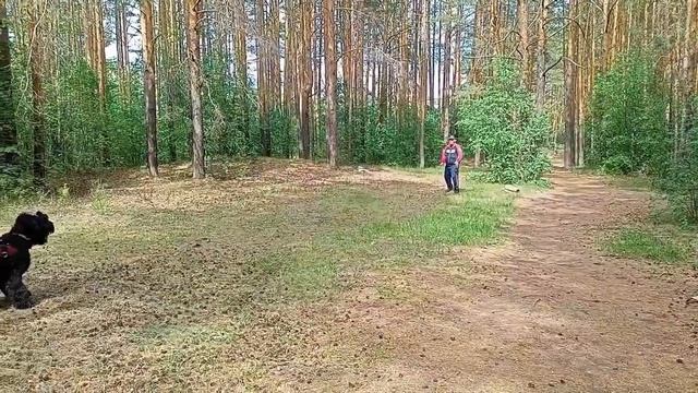 Гелиос. Защита под песню "Туман" в исполнении Алькасар. Город Реж Свердловской области. смотреть онлайн