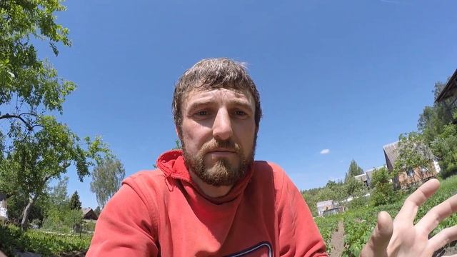 Прополка и окучивание картофеля по Митлайдеру .Советы по уходу и росту картофеля. Сорт Американка. смотреть онлайн