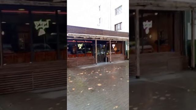 Навес из дерева и профелированого поликарбоната #всесвоимируками #стройка #декордлядома  #навес