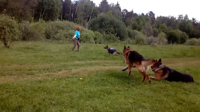 Стеша и Солончак смотреть онлайн