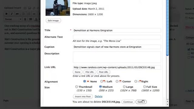 WordPress Tutorial on Managing Images for Posts & Pages смотреть онлайн