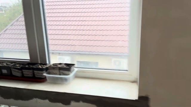 Зимовка южных растений смотреть онлайн