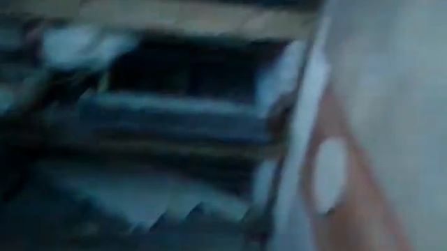 Инкубация бройлер КОББ500 Вывод смотреть онлайн