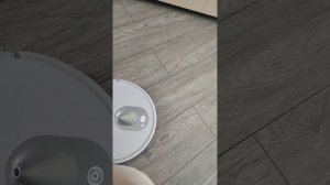 Mamibot EXVAC680S белый