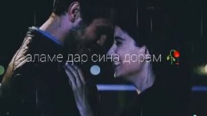 ДАР ИН ГУШАИ ДУНË