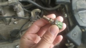 Датчик температуры жидкости Geely ck