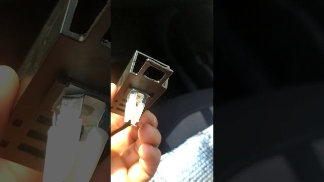 вонючка Слим арбуз повредила (разъела) панель автомобиля