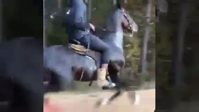 Самый быстрый рысак