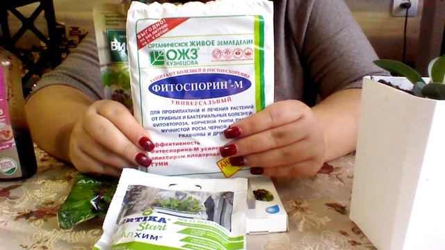 План подкормки рассады цветов.mp4 смотреть онлайн
